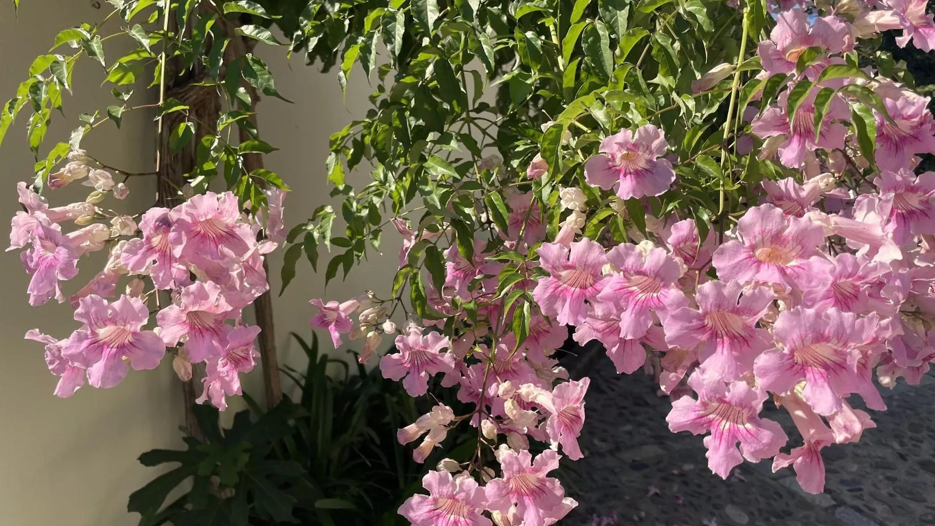 Villa La Maravilla - With Amazing Sea View Benahavis 0*,